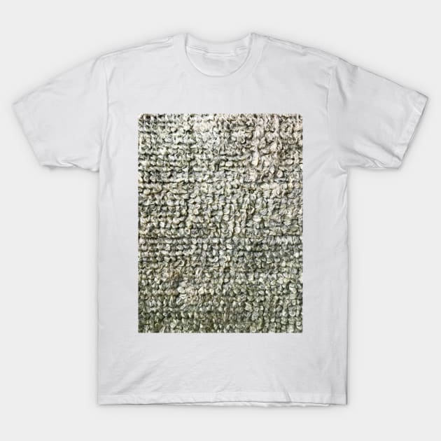 Grey carpet texture background T-Shirt by FOGSJ